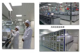 品質(zhì)護航 一家軟件開發(fā)企業(yè)如何保持自身的核心競爭力